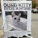 Illustration for article titled My Cat Is Dead, What a Relief